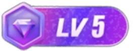 LV5 等级-LV5—求知行囊阅览室