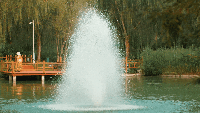 图片[5]—【H816】泡泡玛特王宁：尊重时间，尊重经营，常存敬畏—谬之阅览室